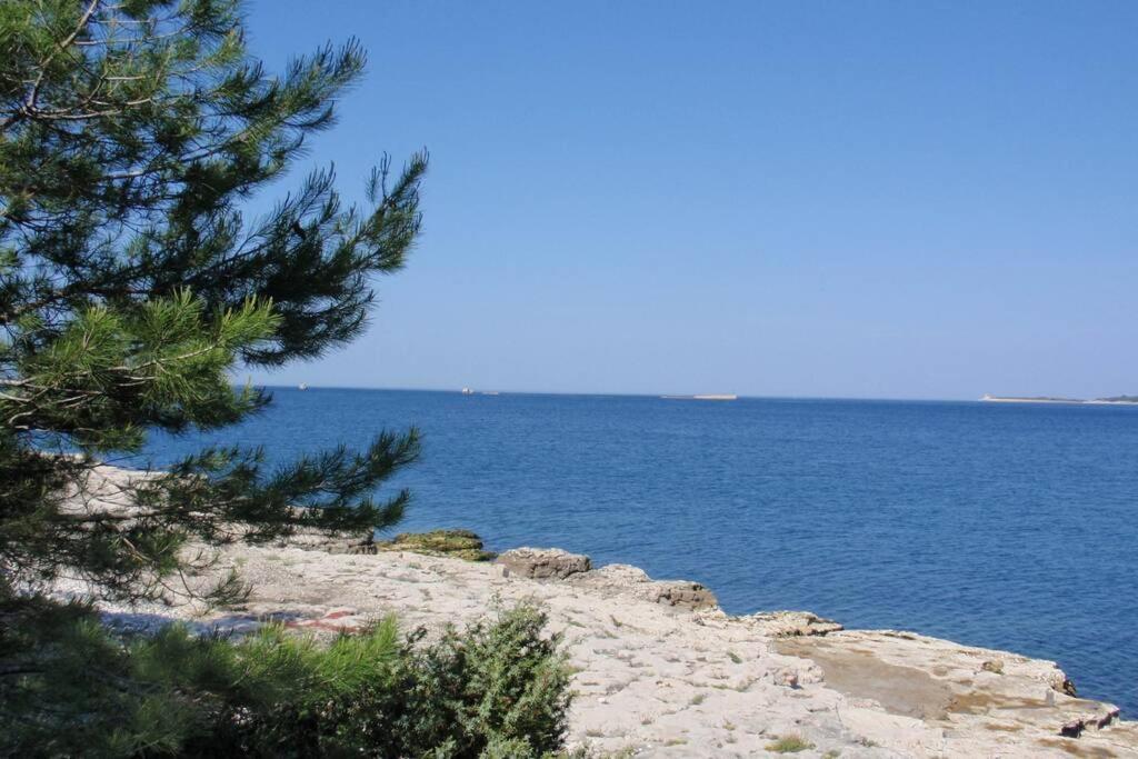 Appartement Stinjan-studio Petric Pula