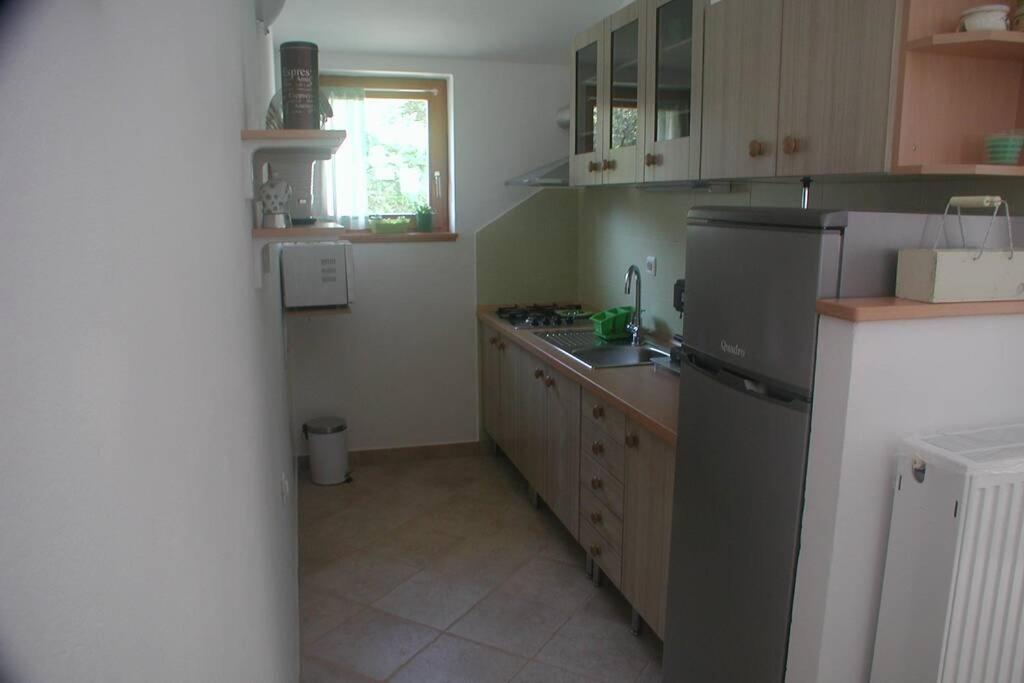 Stinjan-studio Petric Appartement