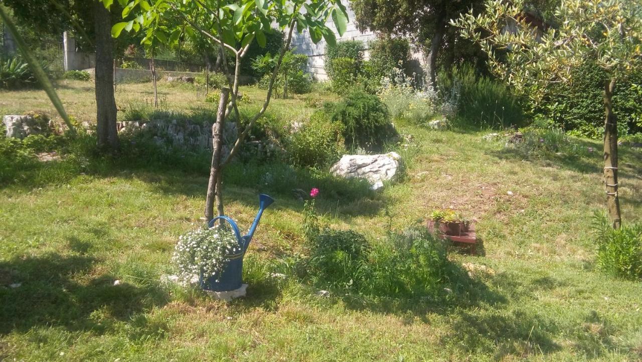 Appartement Stinjan-studio Petric *