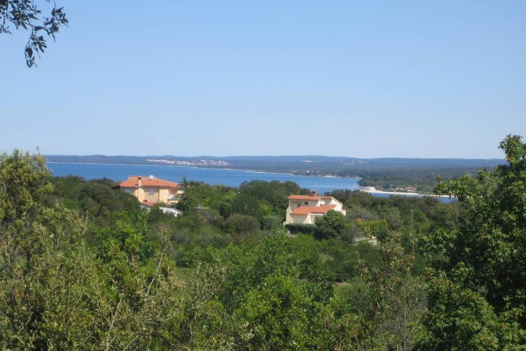 Stinjan-studio Petric Appartement Pula